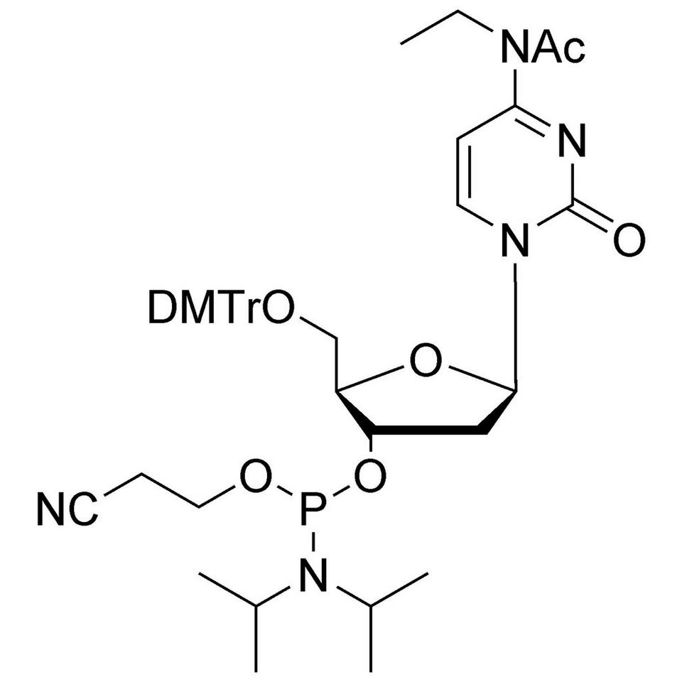 N4-Acetyl, N4-ethyl-dC CE-Phosphoramidite, BULK (g), Glass Screw-Top